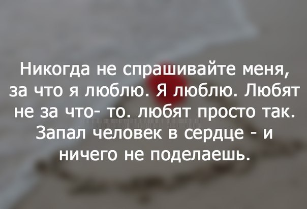  - 5  2015  19:31