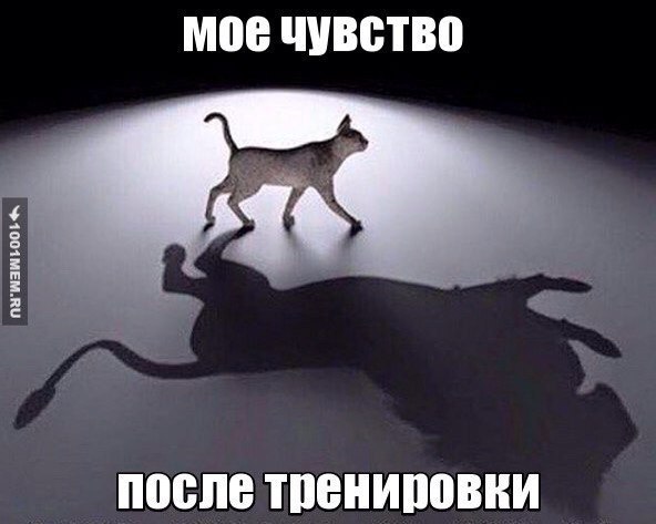  -   - 29  2015  19:42