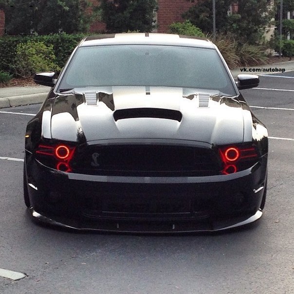 Shelby GT500. - 5