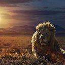 ���� ����, ������, 54 ���� - ��������� 22 ������� 2016 � ������ �������������