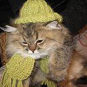 ���� ������. �� �����., ���� - ��������� 5 ������ 2016 � ������ ������ ��������