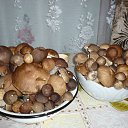 ���� ���������, ������ ��������, 61 ��� - ��������� 29 ������ 2016 � ������ ����