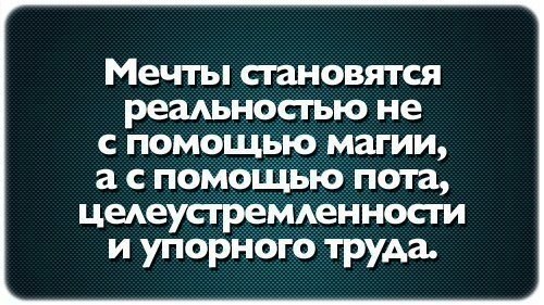 SportFeed - 24  2015  11:25