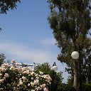  , , 59  -  1  2015     ޻