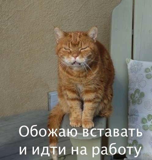       - 19  2015  23:04