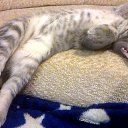 ���� ������, �����������, 58 ��� - ��������� 6 ������ 2016 � ������ ������ ��������