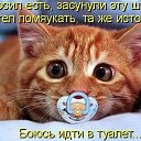  ,  , 63  -  12  2016    