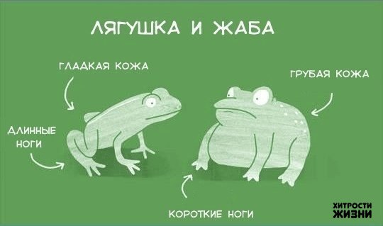   ,   - 5