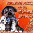 ���� ������, ����� - ��������� 5 ������ 2016 � ������ ������ ��������