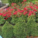  G, , 69  -  11  2016    