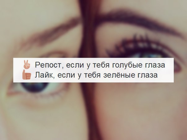 ? ,  ! - 23  2016  00:56
