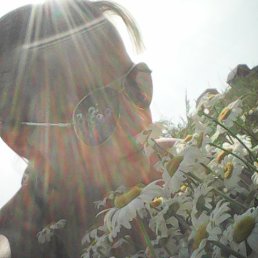 �����, �������, 34 ����