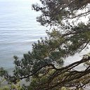  ,  -  14  2016    Ż