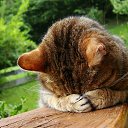 ���� ���������, �������� - ��������� 30 ���� 2016 � ������ ������ ��������