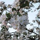 ���� ������, ������ - ��������� 30 ���� 2016 � ������ �123�