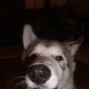  ,  , 33  -  29  2016    !)