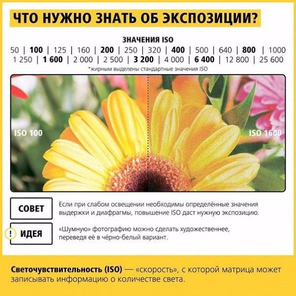 Nikon сделала крутую инфографику, в которой объясняются элементарные вещи о процессе фотосъемки - 6