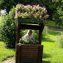 ���� ��������, ������������ - ��������� 19 ���� 2016 � ������ ���� ����������