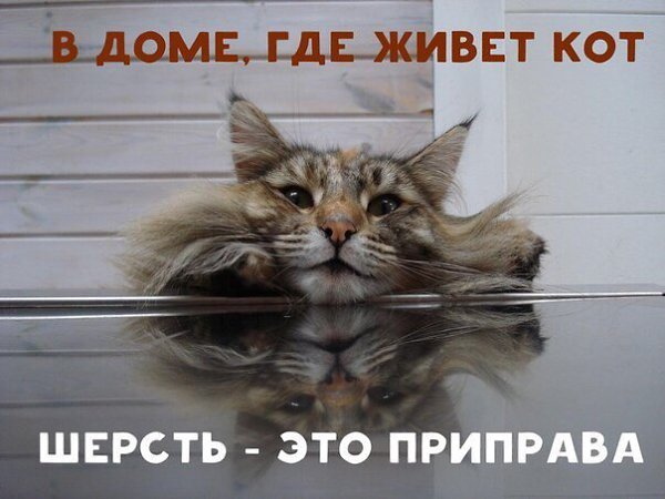   - 10  2016  17:56