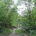 ���� ���������, �������������� - ��������� 31 ���� 2016 � ������ ��������� ����