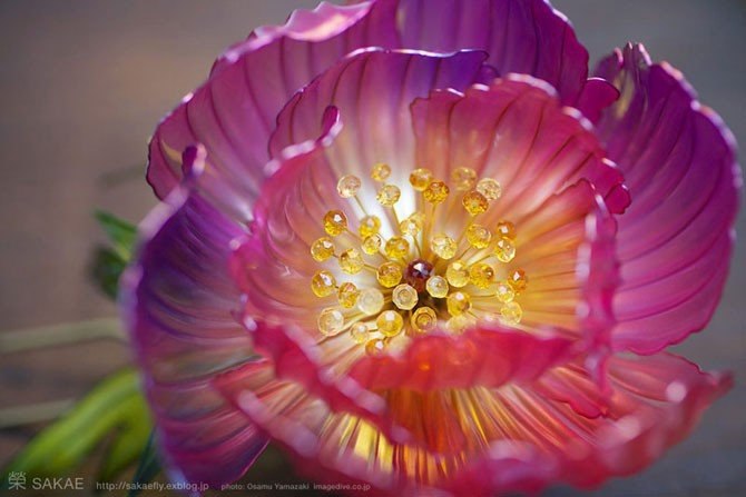        . #@https://fotostrana.ru/away?to=/sl/XE2 ... - 7