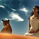  Piratka,  -  1  2016    