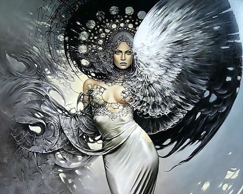    (KAROL BAK).     ,     ... - 13