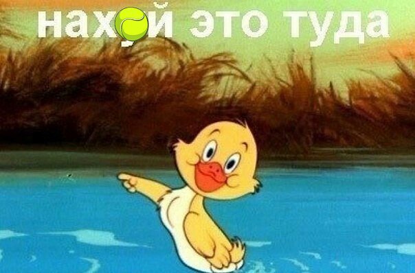    ,  ?      e ....      ......  ...