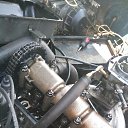 ���� �������, ��������, 42 ���� - ��������� 28 ���� 2016 � ������ ������ ��������