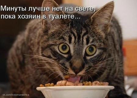   - 22  2016  23:05