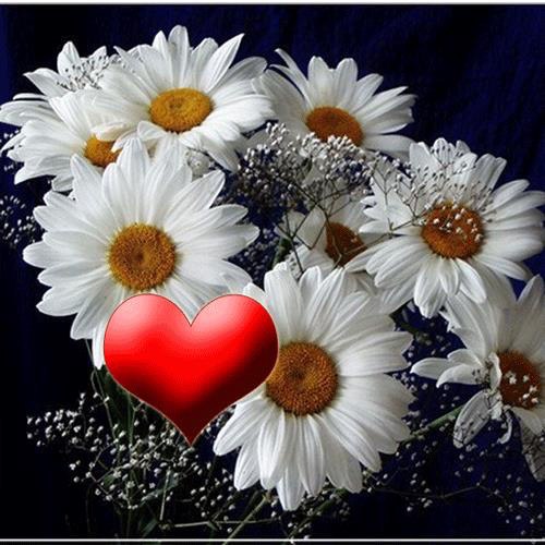 ������� ������ � ��� ��� �� �������. ������ �������� ��������. ������� ������ � �� ��������� �� ...