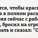  , , 64  -  28  2016   ........