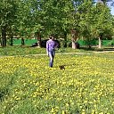 ���� ����, ������������, 52 ���� - ��������� 25 ��� 2016 � ������ ������ ��������