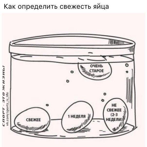 -   - 8  2016  03:01