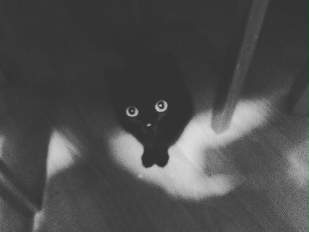  -  - 3  2016  23:28