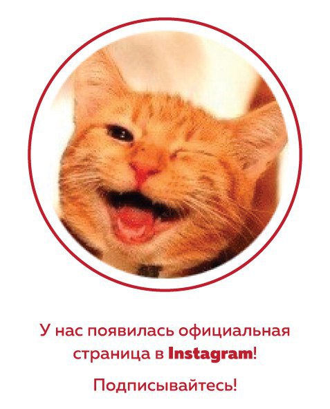 ,    !       ! https://fotostrana.ru/away?to=/sl/mt4