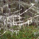 ���� ������, �����, 65 ��� - ��������� 2 �������� 2016 � ������ ������ �������� 2015�.�