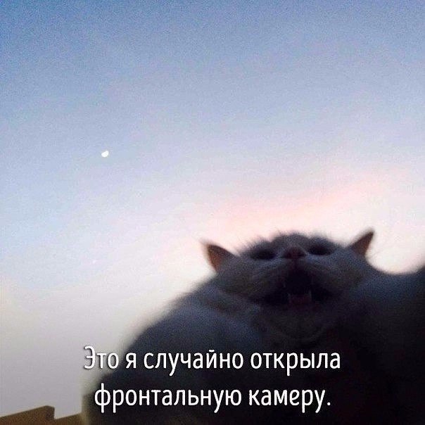 ,       - 2