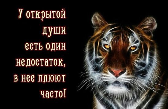 .https://fotostrana.ru/away?to=/sl/kxC2 - 7  2016  05:14