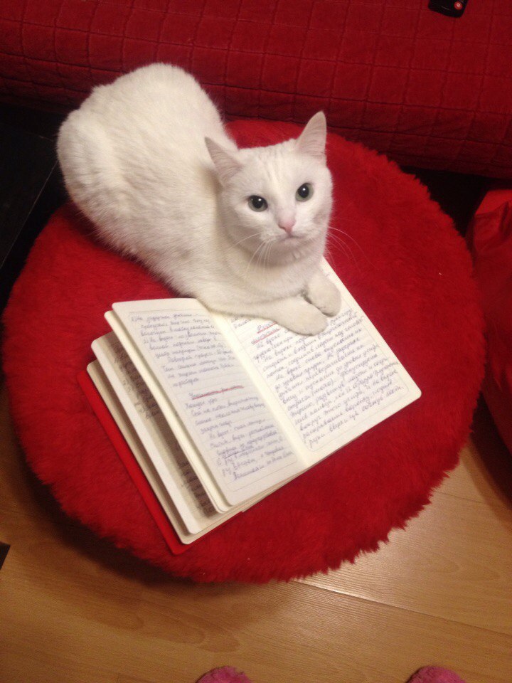 #�������_�����.������� ������������ ����� � ������ �������� �����, ������� ��������� ���� ���������. ... - 3