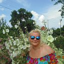 ���� �������, �������� - ��������� 3 ���� 2016 � ������ ���� ����������