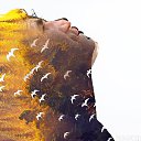  , , 70  -  6  2016    -