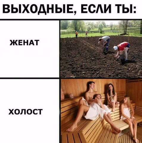 �� ���������� ���� ר! - 14 ���� 2016 � 18:22