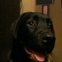 ���� Olga, �����������, 64 ���� - ��������� 9 ������� 2016 � ������ ���� ��������