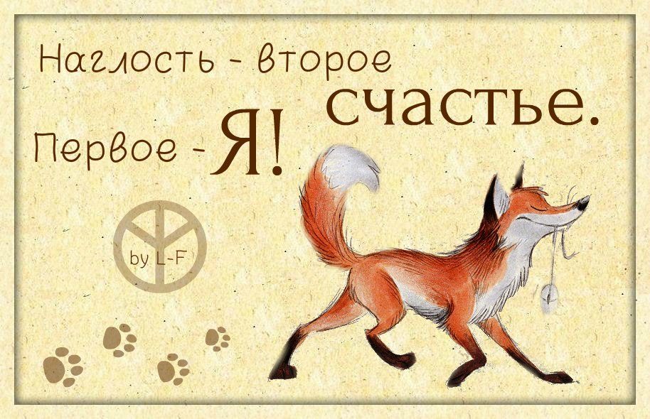 2511069172.jpg