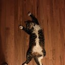 ���� Thom, ��������, 52 ���� - ��������� 29 ���� 2016