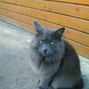 ���� �����, �������, 57 ��� - ��������� 21 ���� 2016 � ������ ���� ����������