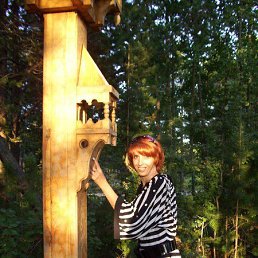 ���� �����, ������, 54 ���� - ��������� 24 ��� 2016