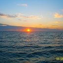 ���� E����, ������, 55 ��� - ��������� 25 ������ 2016 � ������ ���� ����������