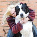  , -, 54  -  17  2016    